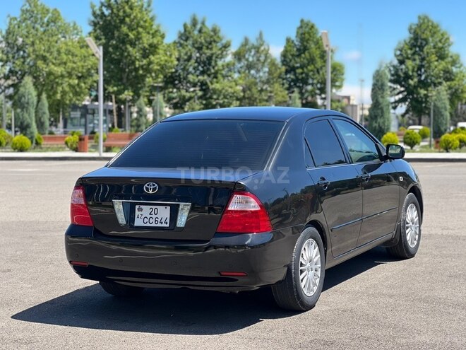Toyota Corolla-6