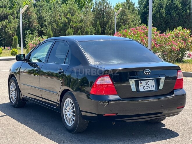 Toyota Corolla-7