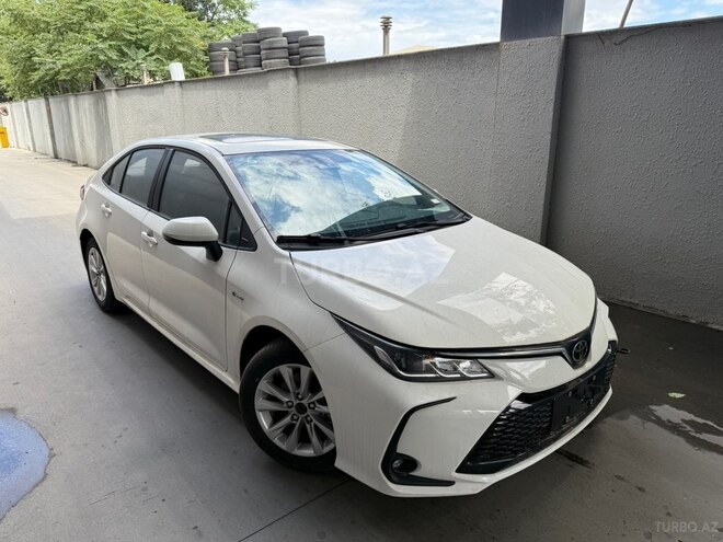 Toyota Corolla-1
