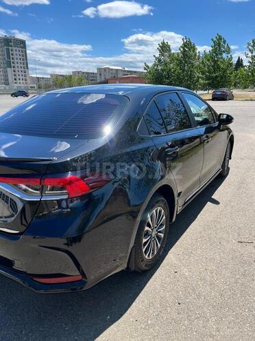 Toyota Corolla-7