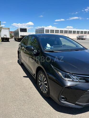 Toyota Corolla-6