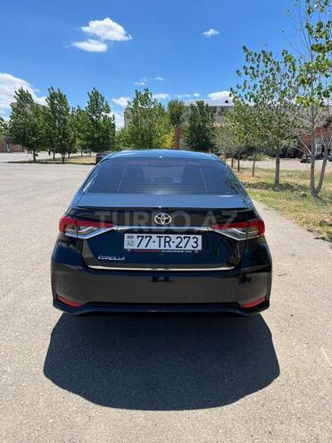 Toyota Corolla-11