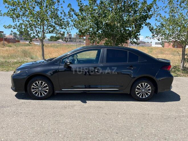 Toyota Corolla-12