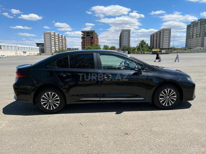 Toyota Corolla-2