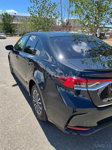 Toyota Corolla-13