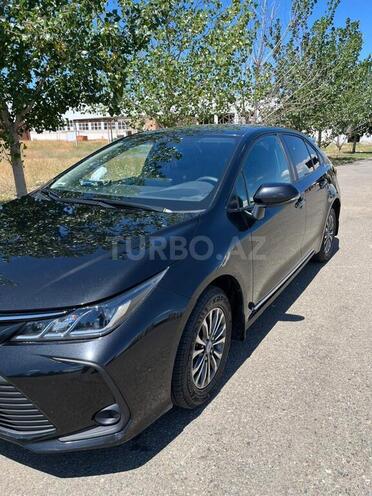 Toyota Corolla-5