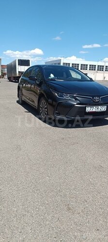 Toyota Corolla-17