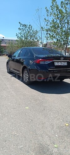 Toyota Corolla-16