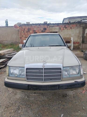 Mercedes 250 D-1