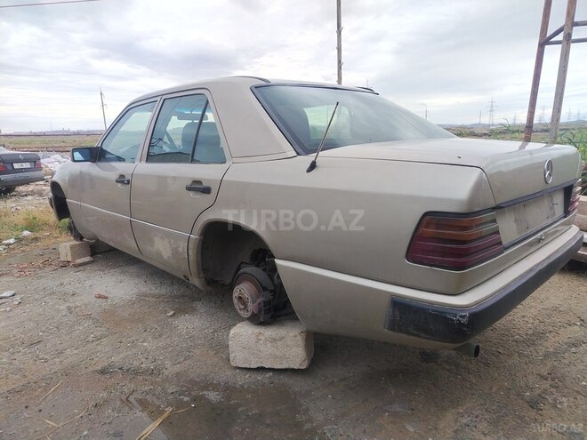 Mercedes 250 D-4
