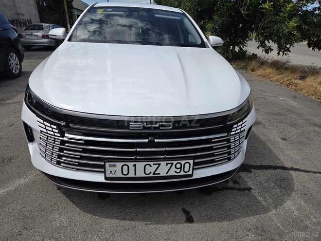 BYD Destroyer 05-17