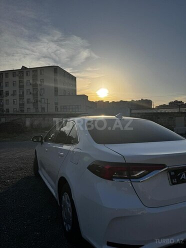 Toyota Corolla-5