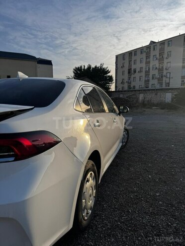Toyota Corolla-4