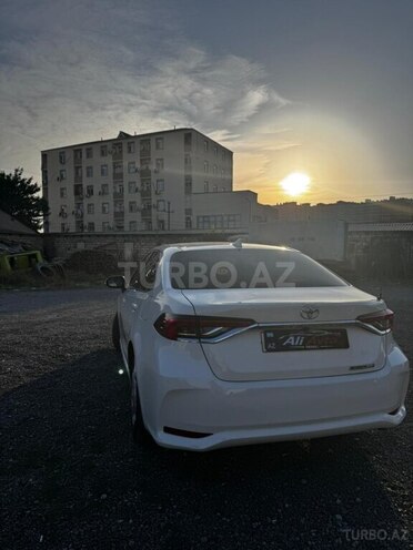 Toyota Corolla-6