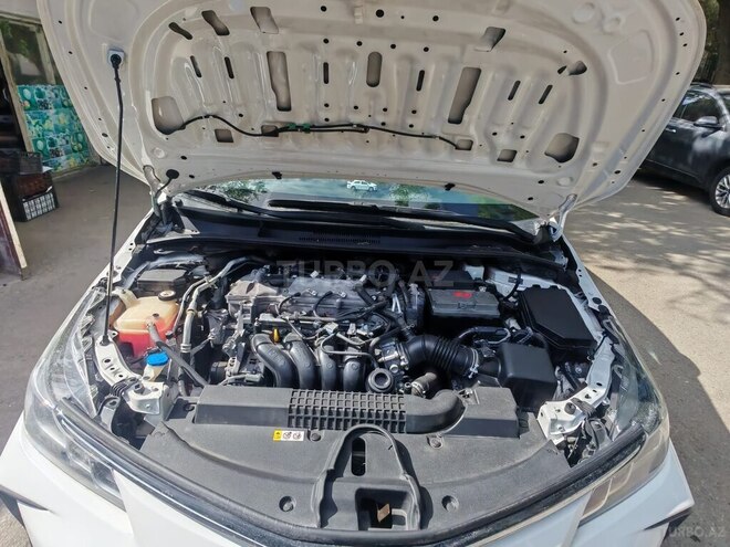 Toyota Corolla-16