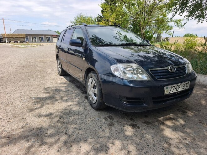 Toyota Corolla-4