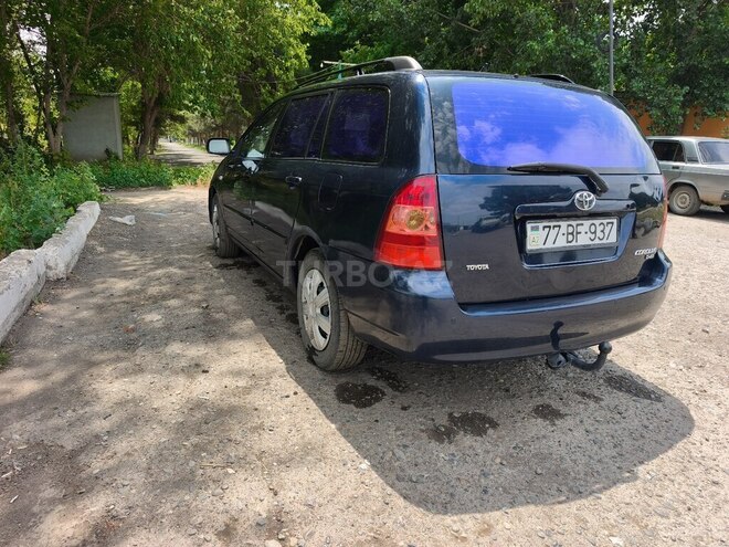 Toyota Corolla-6
