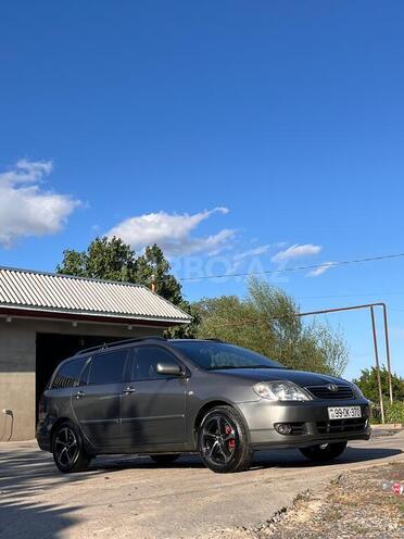 Toyota Corolla-5