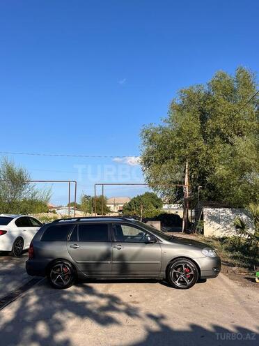 Toyota Corolla-7