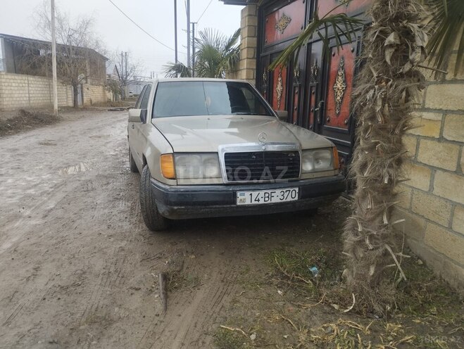 Mercedes 250 D-1