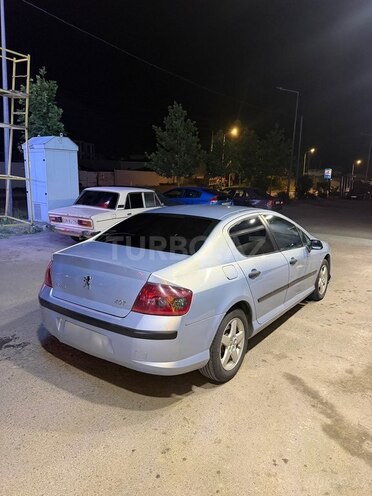 Peugeot 407-6