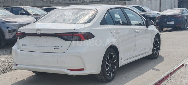 Toyota Corolla-4