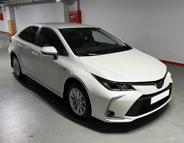 Toyota Corolla-4