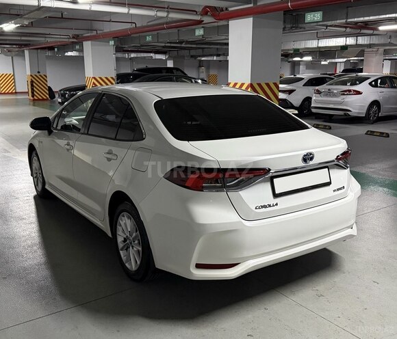 Toyota Corolla-6