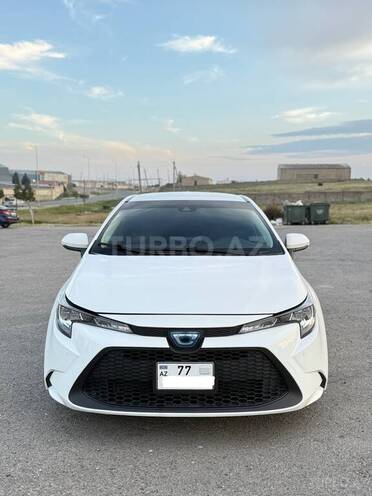 Toyota Corolla-1