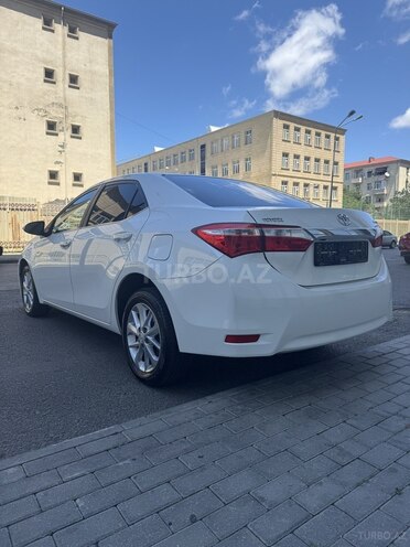 Toyota Corolla-3