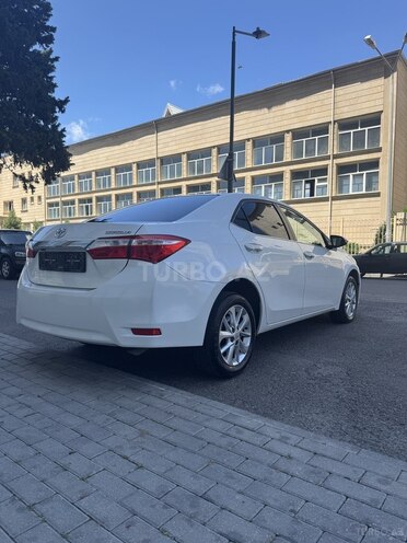 Toyota Corolla-4
