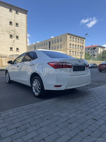 Toyota Corolla-7