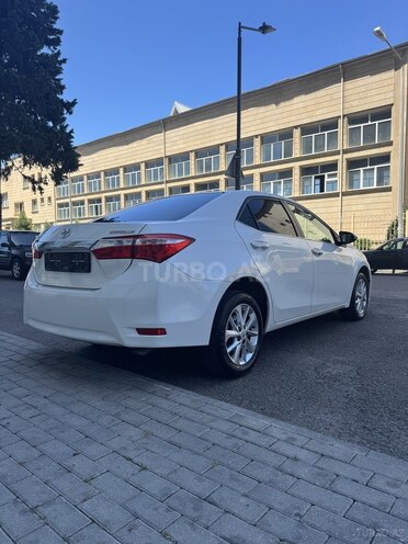 Toyota Corolla-6