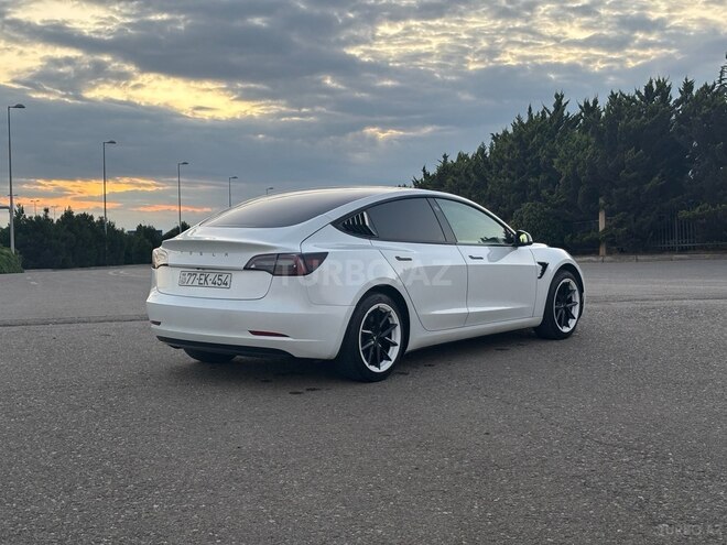 Tesla Model 3-5