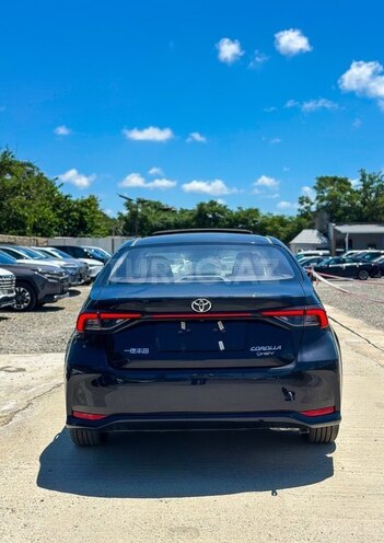 Toyota Corolla-6
