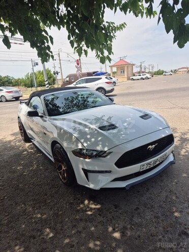 Ford Mustang-1