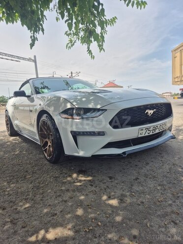 Ford Mustang-2