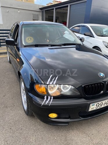 BMW 318-12