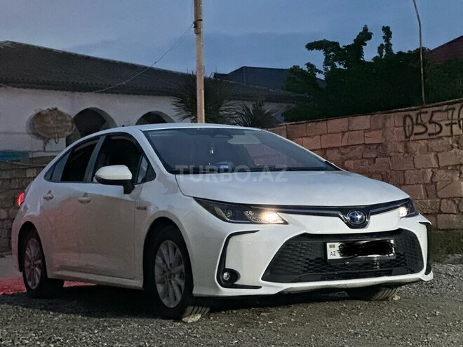 Toyota Corolla-7