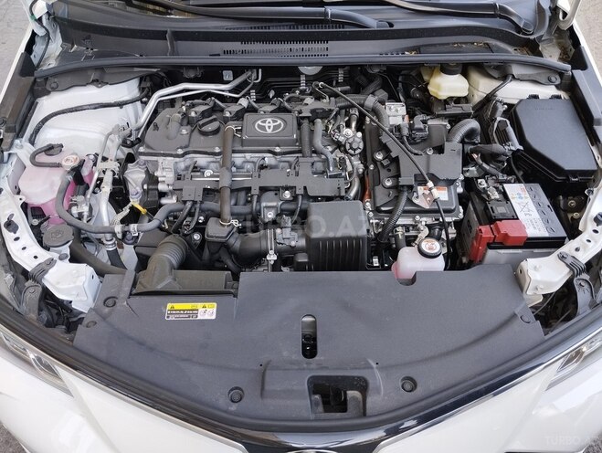 Toyota Corolla-21