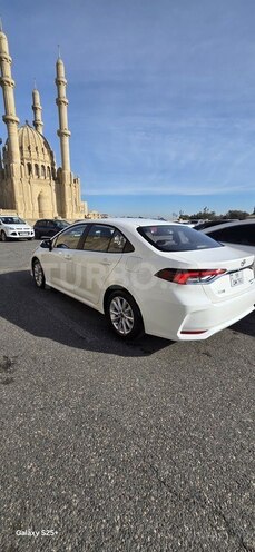 Toyota Corolla-11