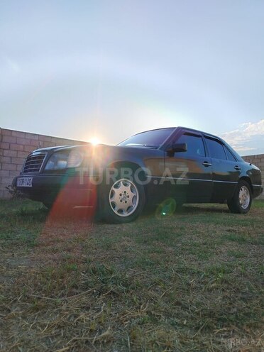 Mercedes 250 D-4