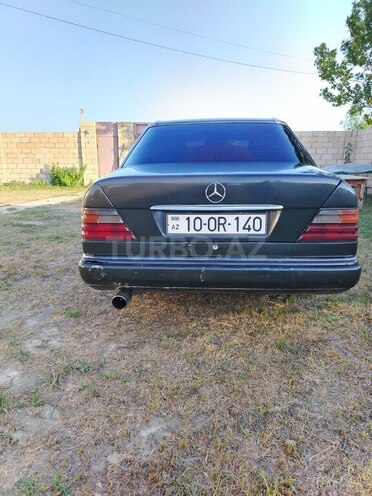 Mercedes 250 D-5