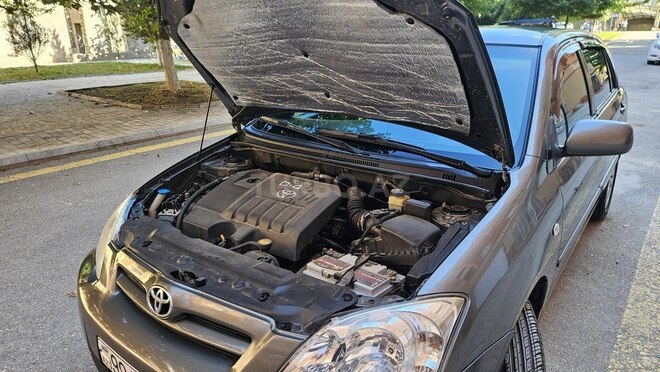 Toyota Corolla-6