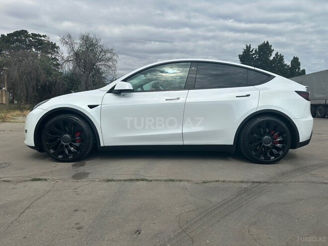 Tesla Model Y-5