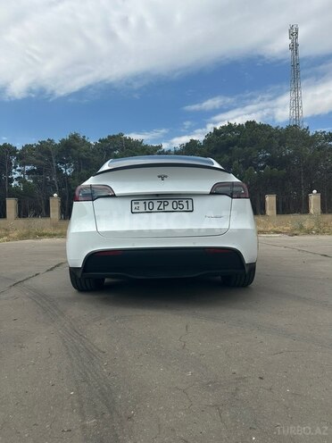 Tesla Model Y-3