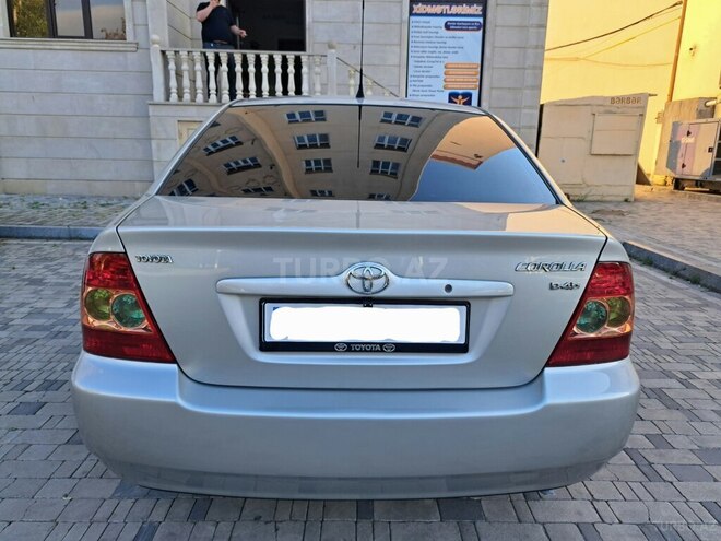 Toyota Corolla-6