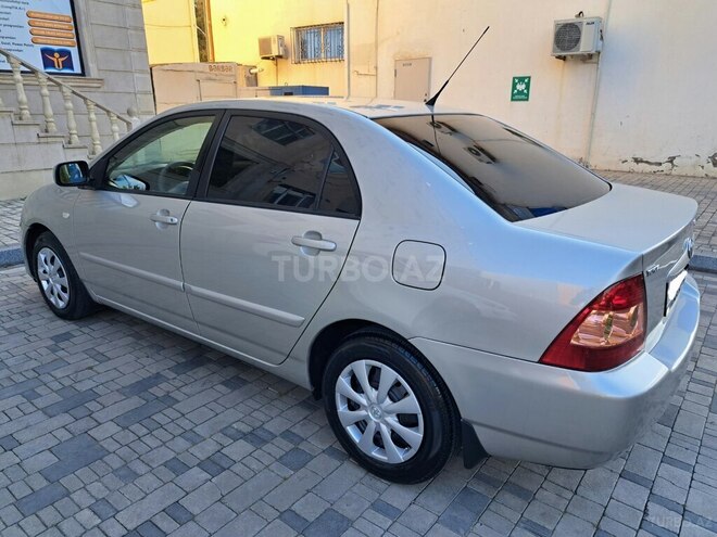 Toyota Corolla-8