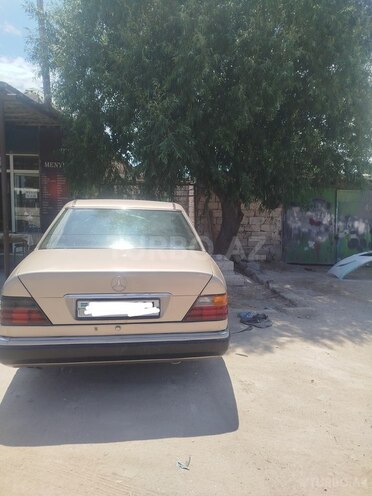 Mercedes 250 D-5