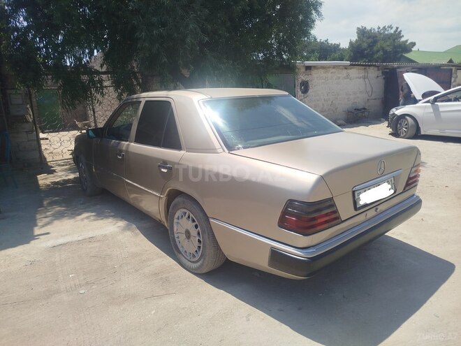 Mercedes 250 D-6